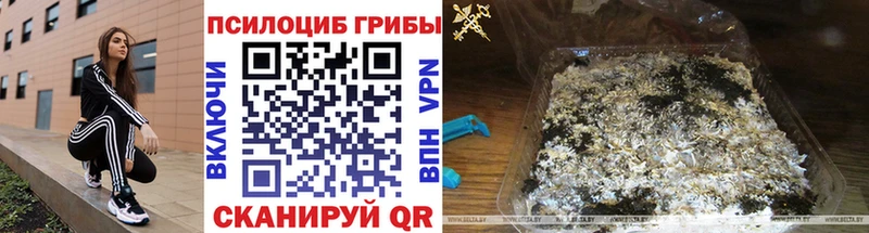 где можно купить наркотик ссылка на мегу маркетплейс Псилоцибиновые грибы GOLDEN TEACHER Нязепетровск